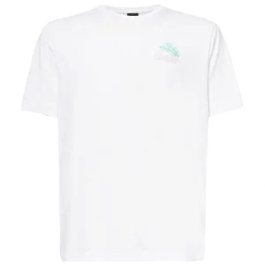 Classic Shop 49