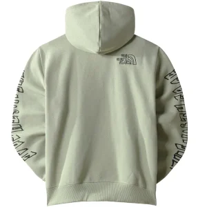 THE NORTH FACE MEN’S PRINTED HEAVYWEIGHT PULLOVER HOODIE TEA GREEN 23 achat 6