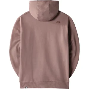 THE NORTH FACE M CITY STANDARD HOODIE DEEP TAUPE 23 mode 6
